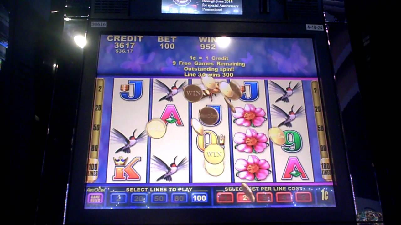 550% Bonus partita su YoYo Casino